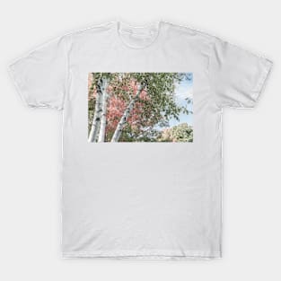 New England autumn T-Shirt